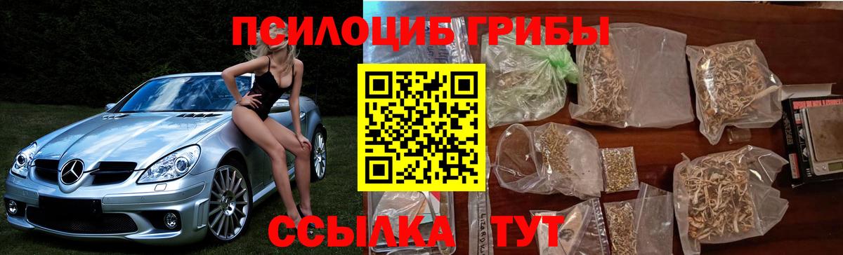 Ахтубинск  Галлюциногенные грибы ЛСД  Вход с VPN 