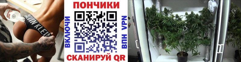 Бошки Шишки планчик где продают Ахтубинск